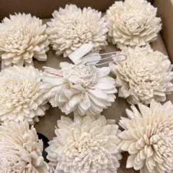 Fresh Shola Flower